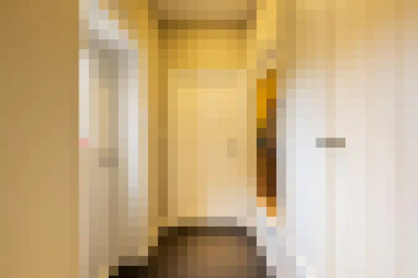 Hellemonsdreef 8 Rucphen thumbnail 69