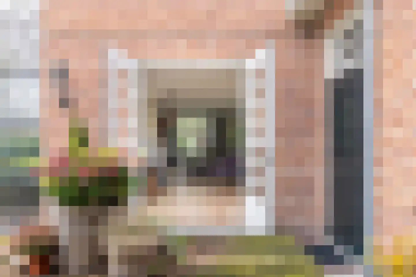 Hellemonsdreef 8 Rucphen thumbnail 7
