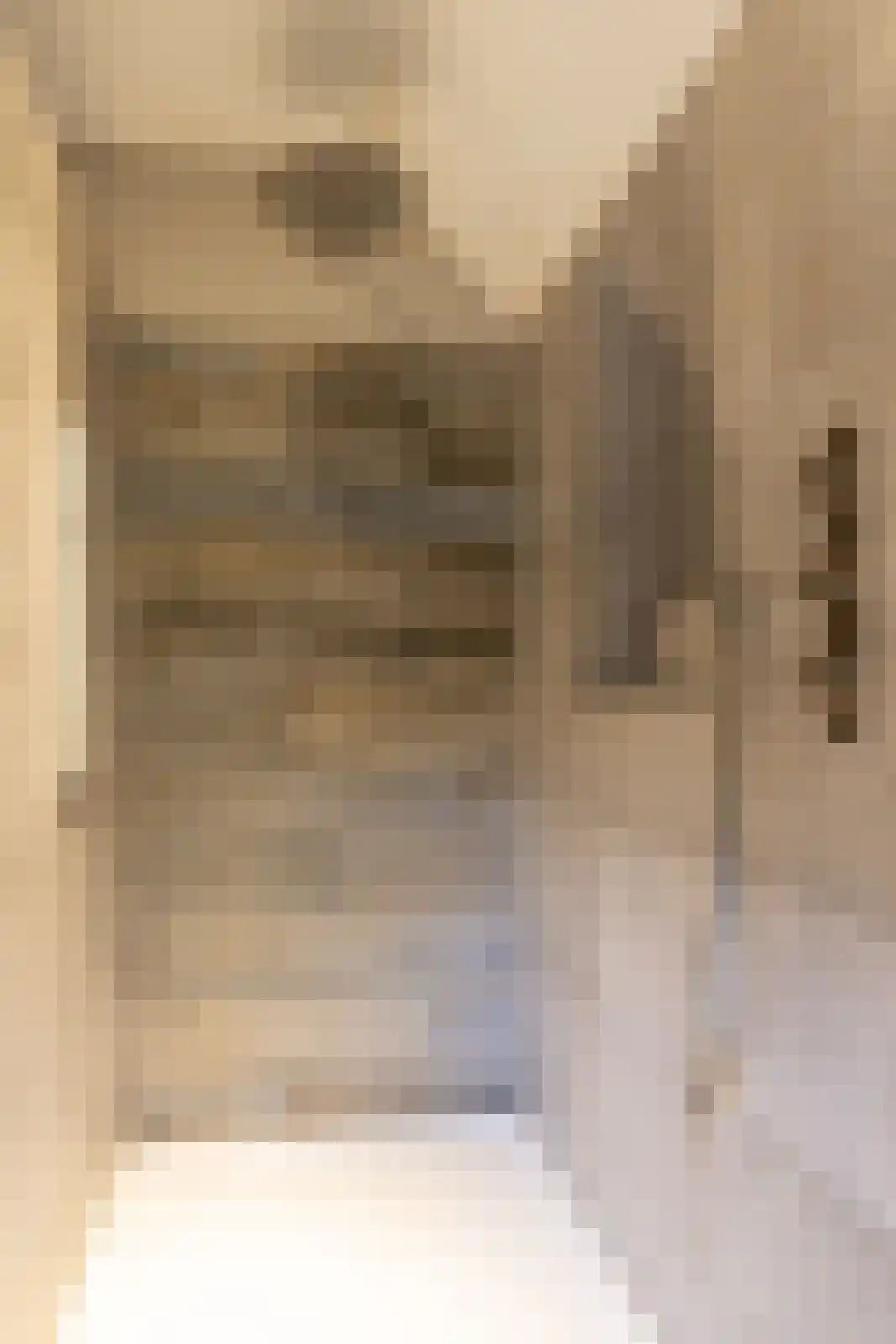 Hellemonsdreef 8 Rucphen thumbnail 70