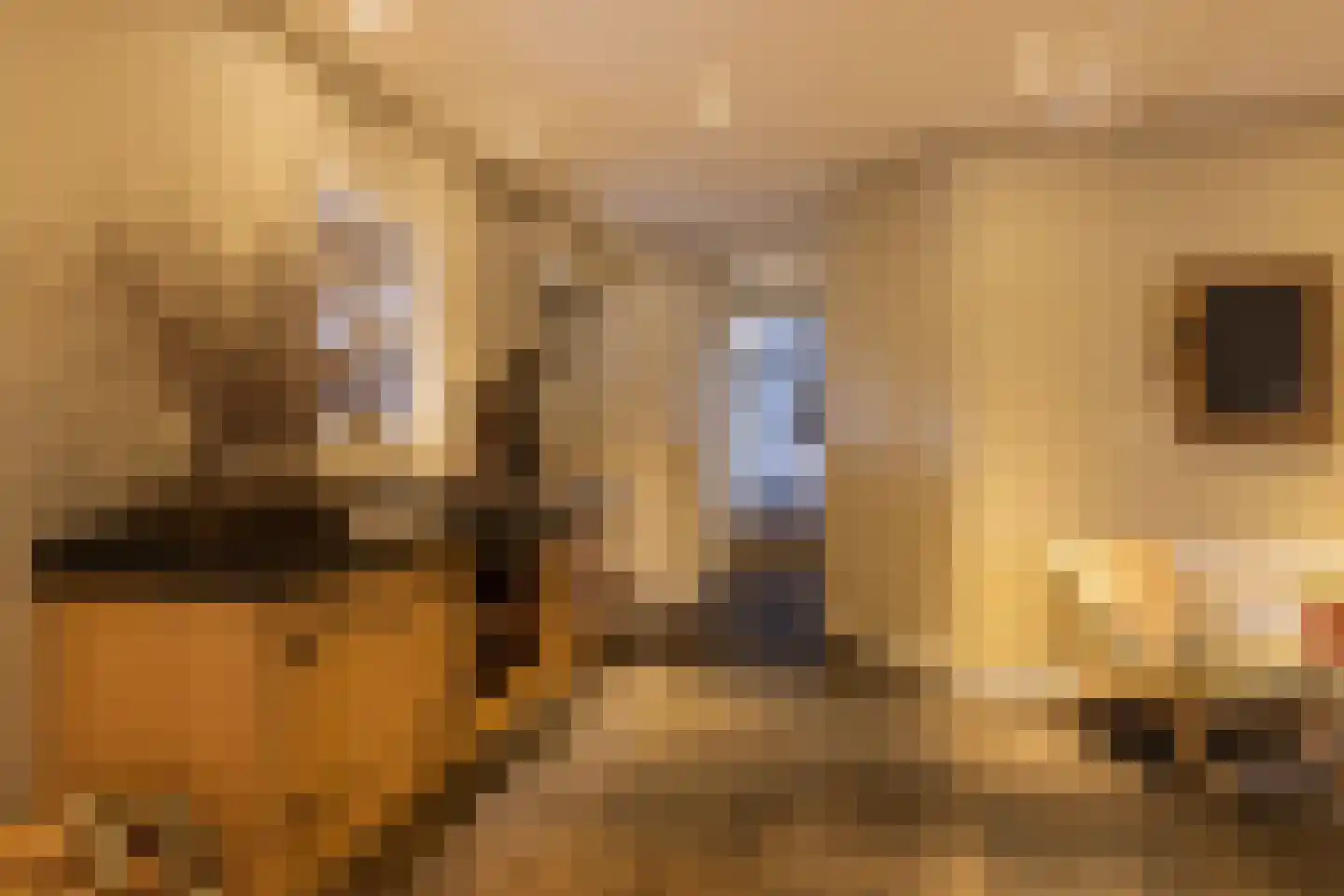 Hellemonsdreef 8 Rucphen thumbnail 74