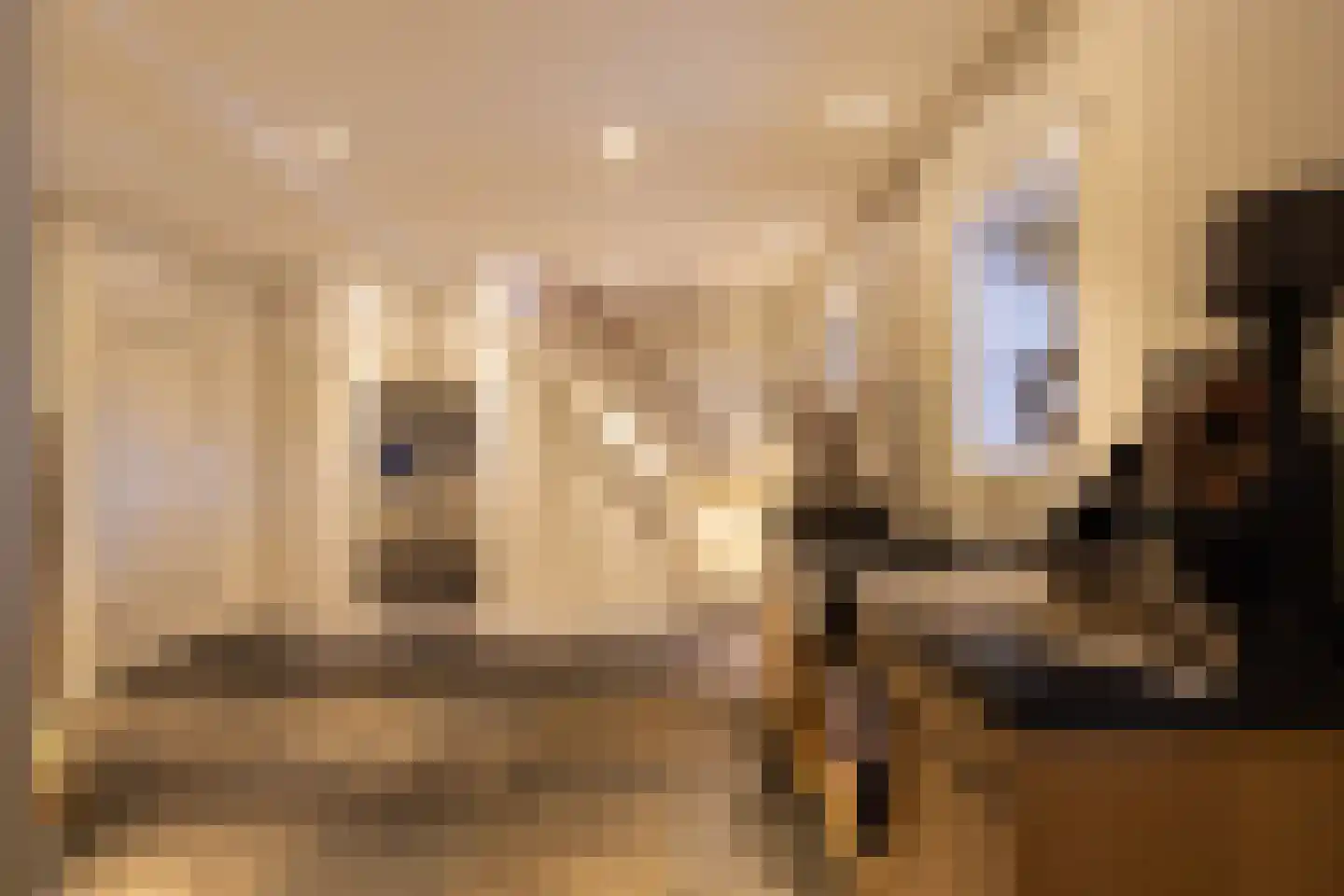 Hellemonsdreef 8 Rucphen thumbnail 75
