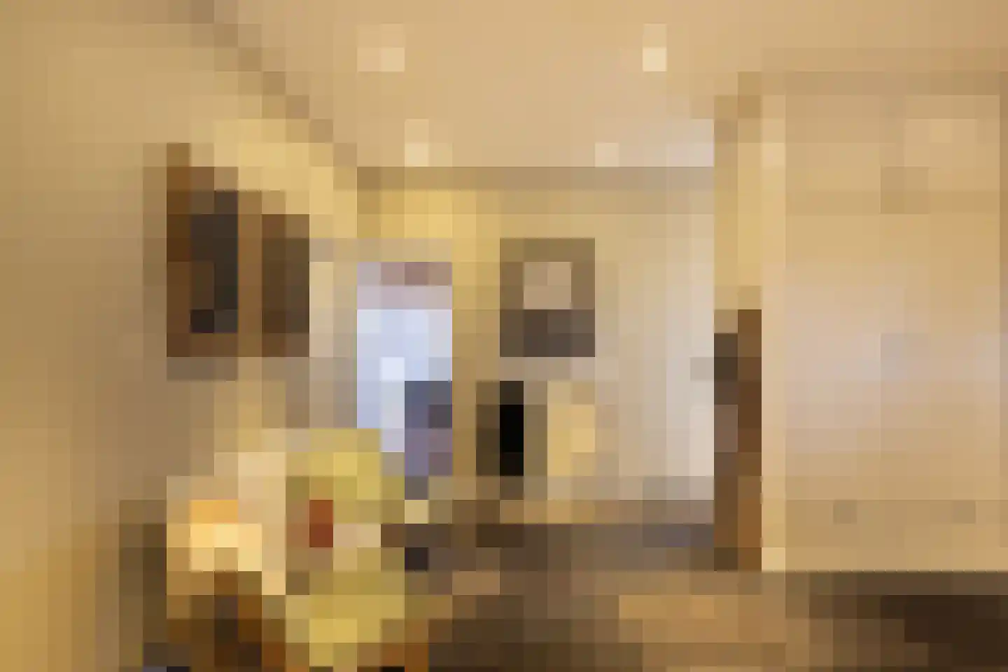 Hellemonsdreef 8 Rucphen thumbnail 76