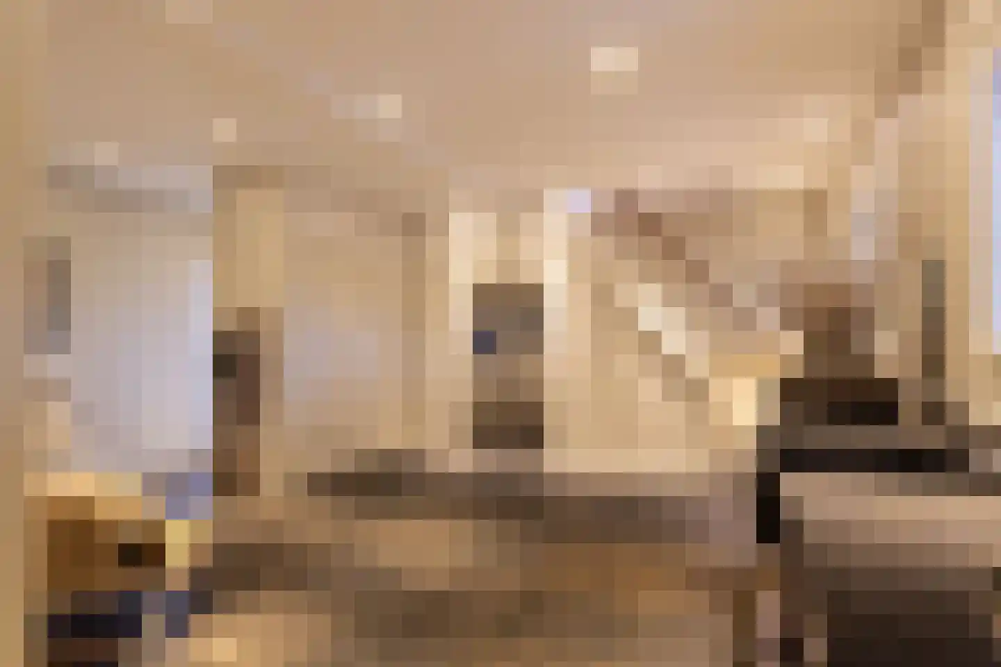 Hellemonsdreef 8 Rucphen thumbnail 77