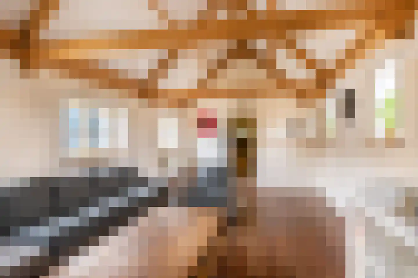 Hellemonsdreef 8 Rucphen thumbnail 79