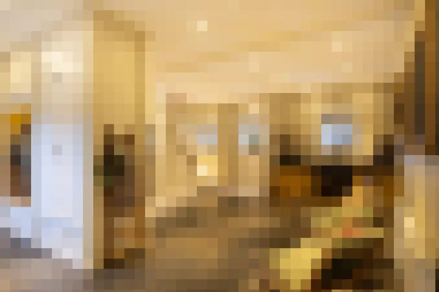Hellemonsdreef 8 Rucphen thumbnail 80
