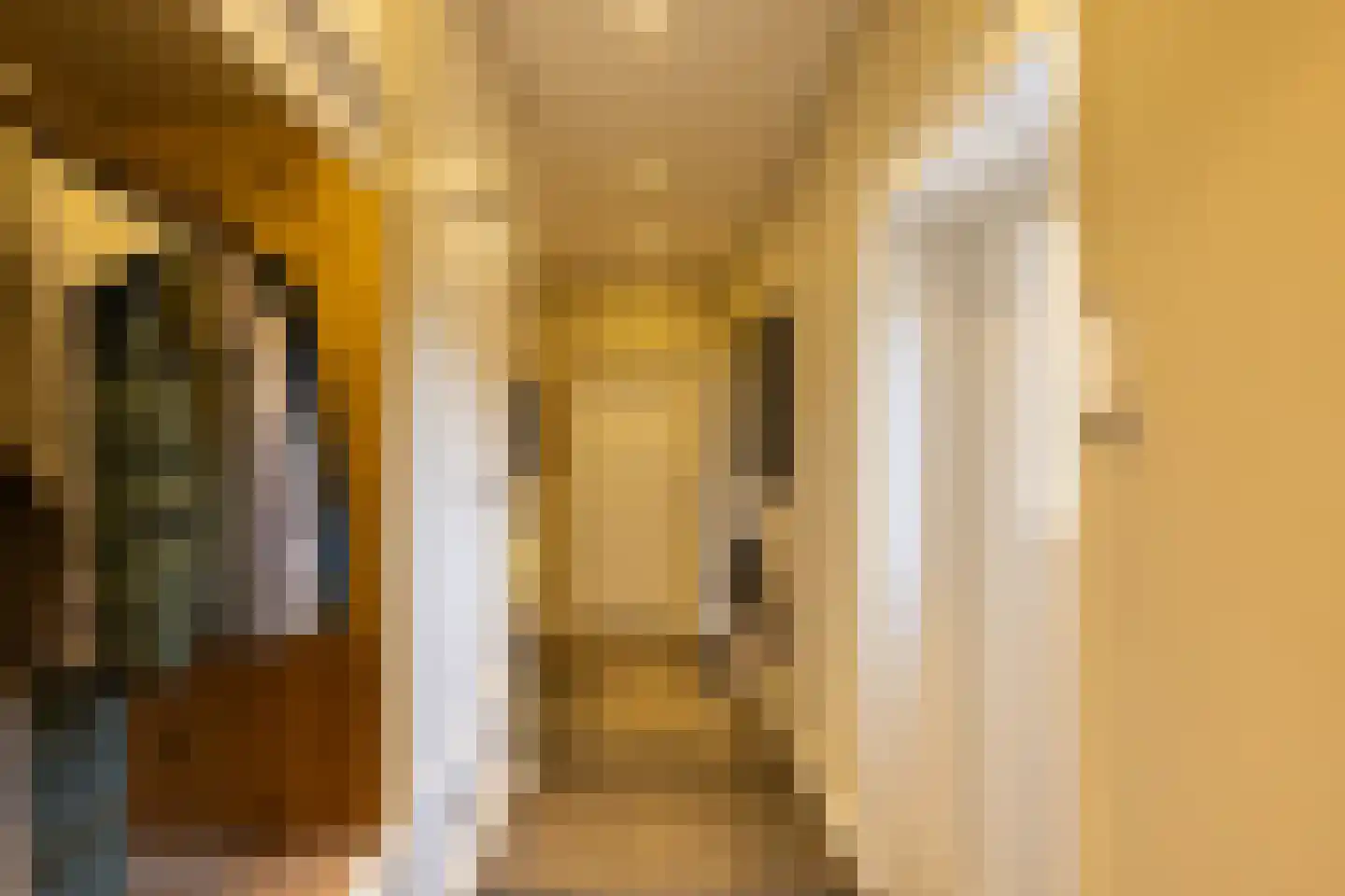 Hellemonsdreef 8 Rucphen thumbnail 84