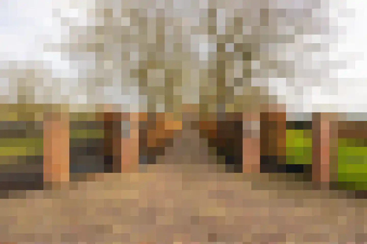 Hellemonsdreef 8 Rucphen thumbnail 87