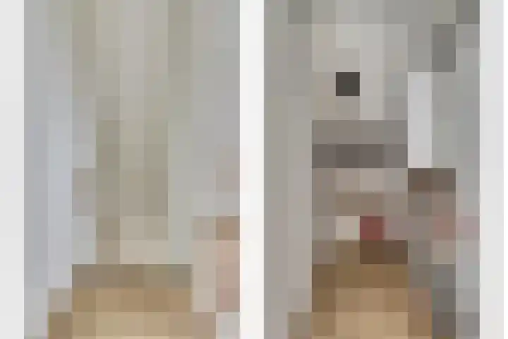 Hellenburg 13 Vlissingen thumbnail 18