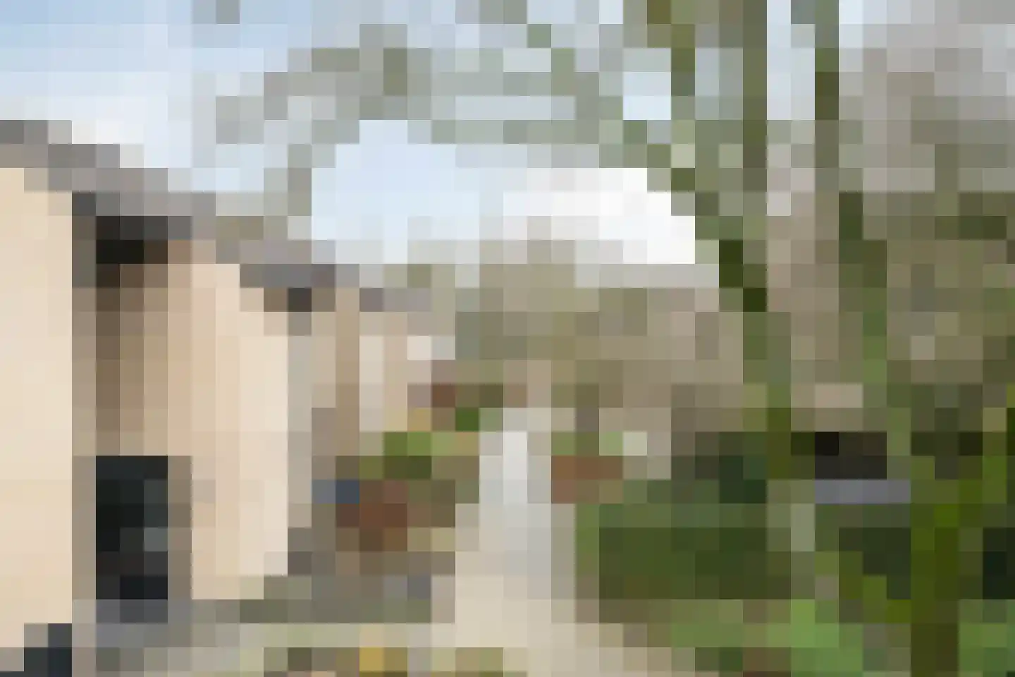 Hellenburg 18 Zwijndrecht thumbnail 5