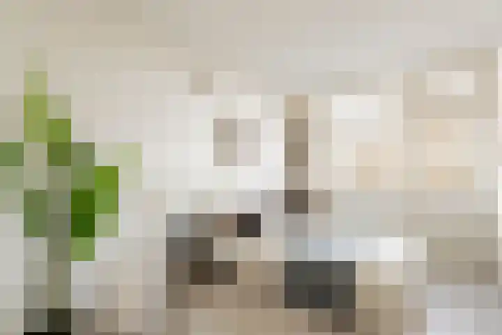 Hellenburg 29 Amsterdam thumbnail 12