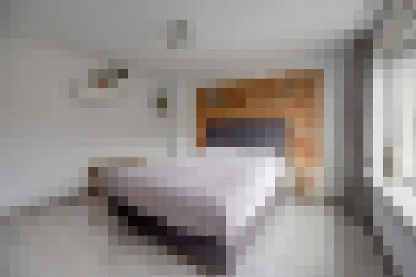 Hellenburg 29 Amsterdam thumbnail 21