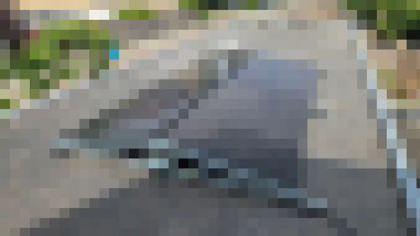 Hellendaalstraat 1 A Aalsmeer thumbnail 22