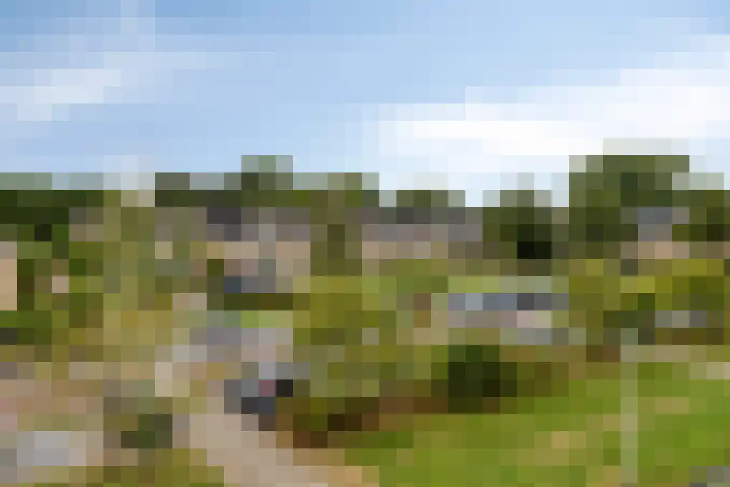 Hellendaalstraat 17 Aalsmeer thumbnail 19