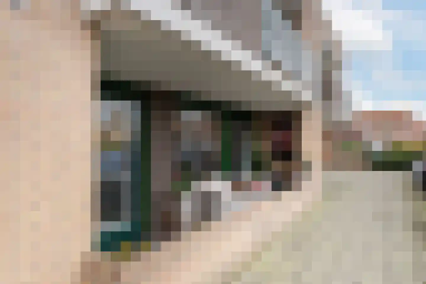 Hellendaalweg 16 's-Gravenzande thumbnail 21