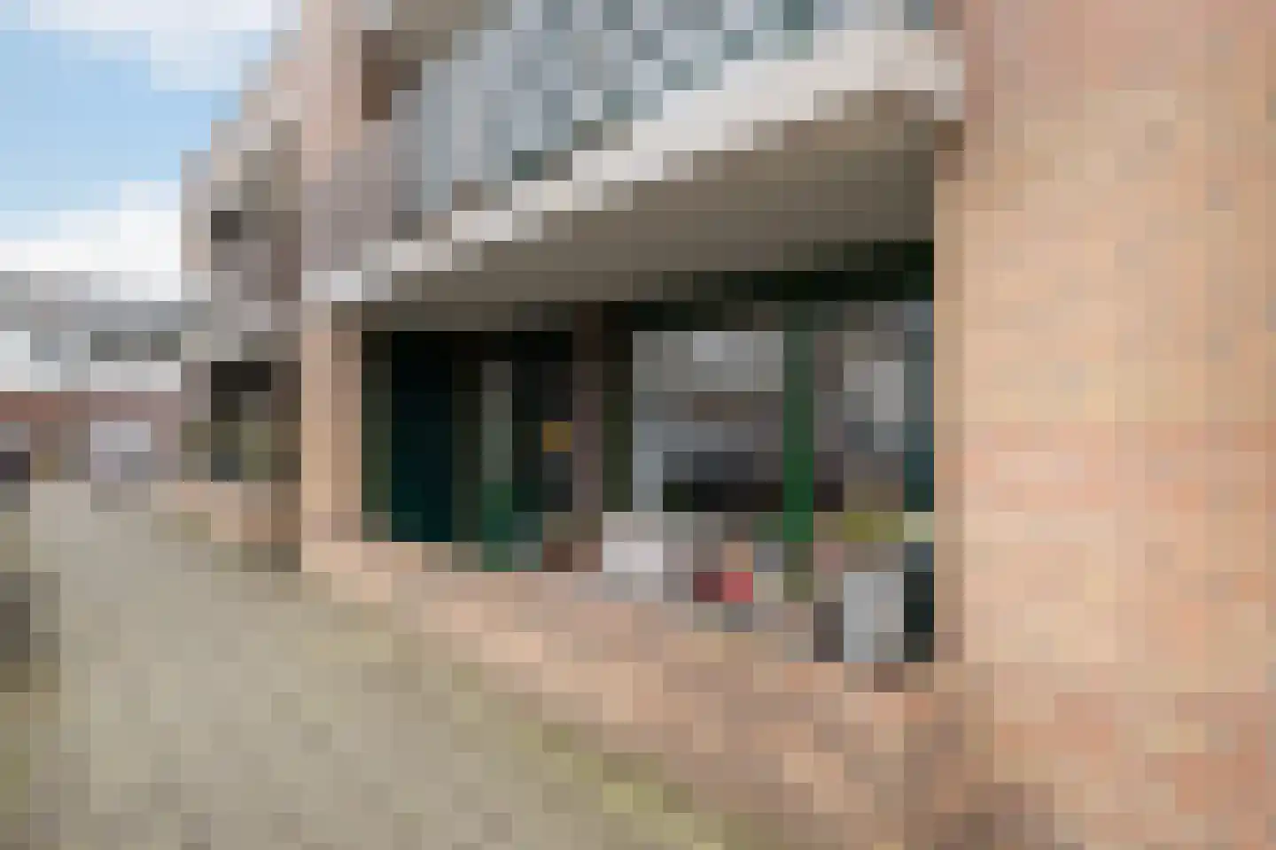 Hellendaalweg 16 's-Gravenzande thumbnail 23