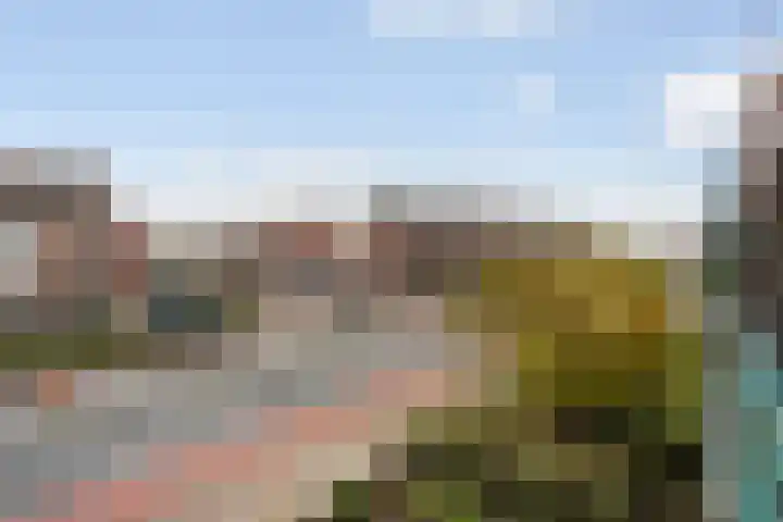 Hellendaalweg 22 's-Gravenzande thumbnail 15