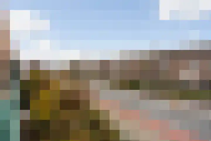 Hellendaalweg 22 's-Gravenzande thumbnail 16