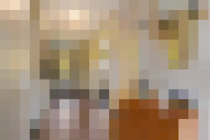 Hellendaalweg 22 's-Gravenzande thumbnail 17