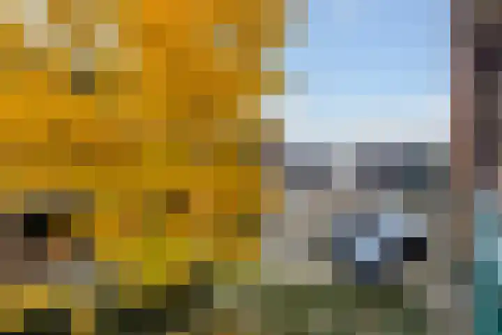 Hellendaalweg 22 's-Gravenzande thumbnail 31