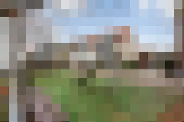 Hellendaalweg 22 's-Gravenzande thumbnail 43