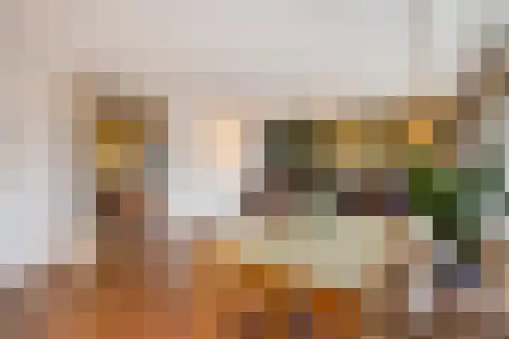 Hellendaalweg 22 's-Gravenzande thumbnail 5