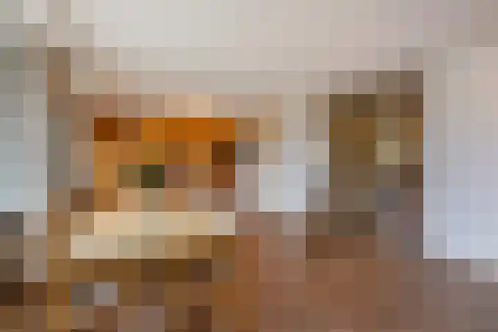 Hellendaalweg 22 's-Gravenzande thumbnail 7