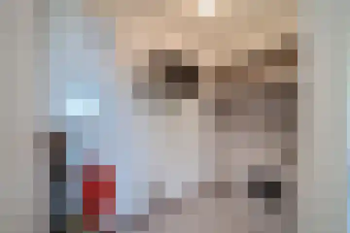 Hellendaalweg 32 's-Gravenzande thumbnail 12
