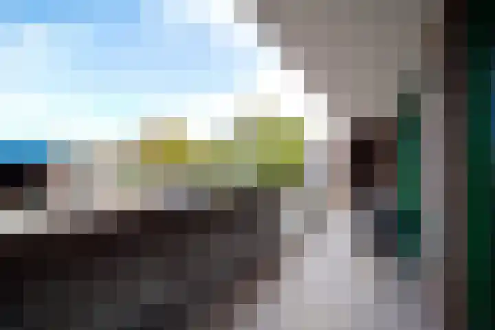 Hellendaalweg 32 's-Gravenzande thumbnail 22