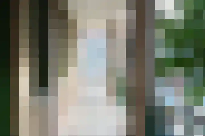 Hellendaalweg 32 's-Gravenzande thumbnail 4