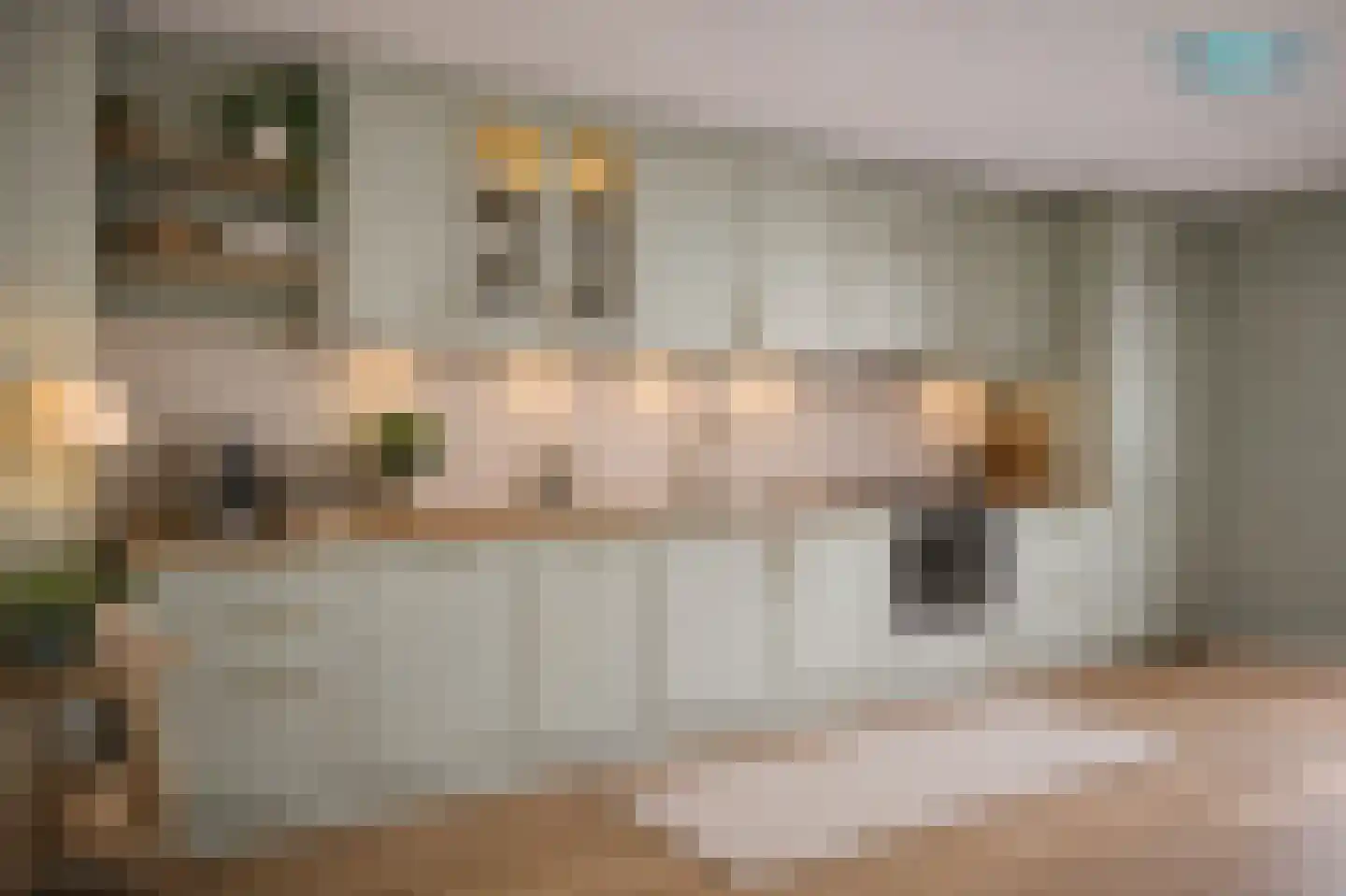 Hellendaalweg 36 's-Gravenzande thumbnail 10