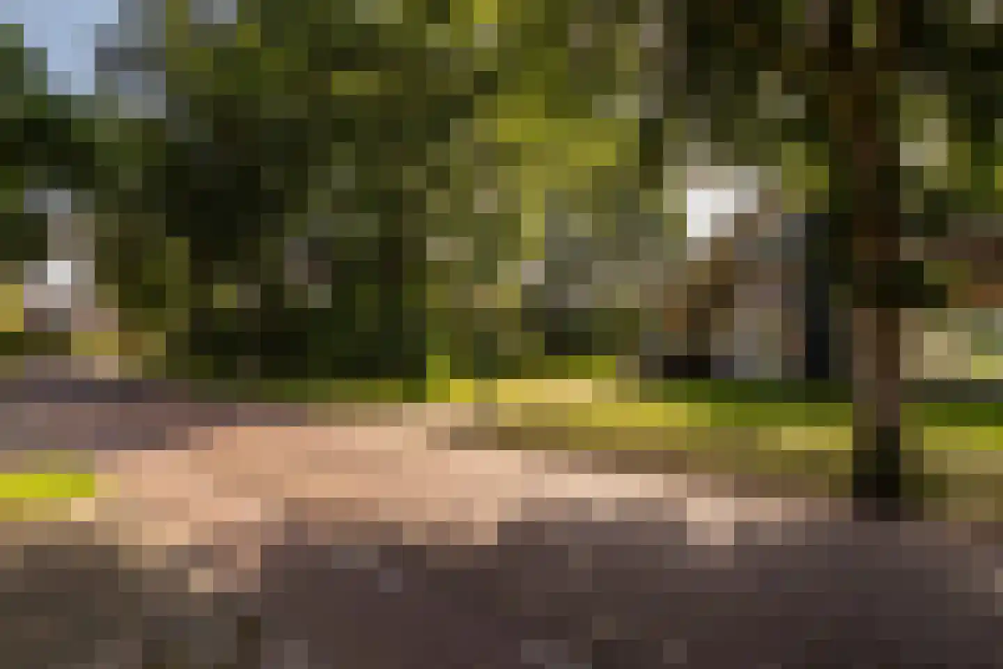 Hellendoornseweg 36 Mariënheem thumbnail 47