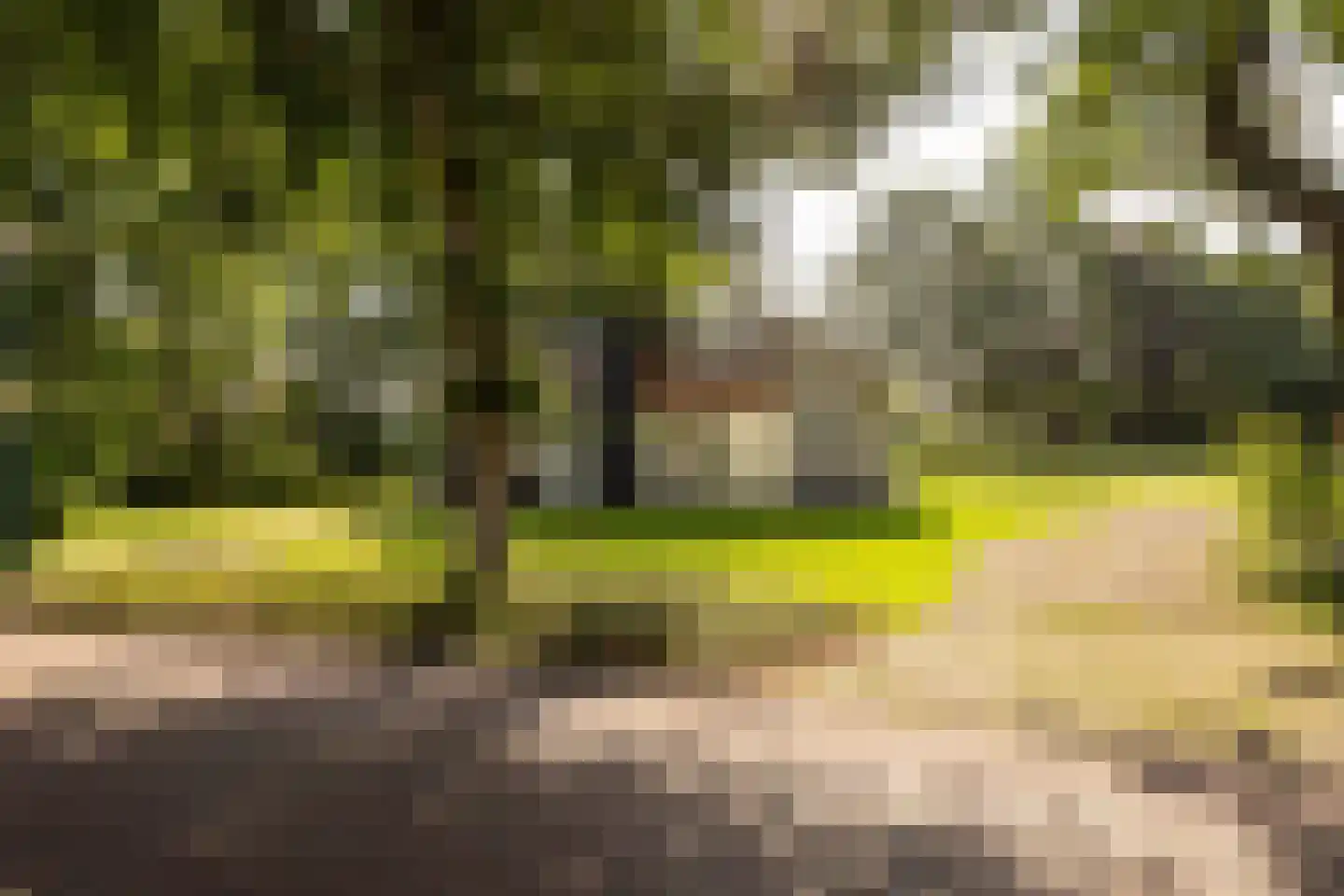 Hellendoornseweg 36 Mariënheem thumbnail 48