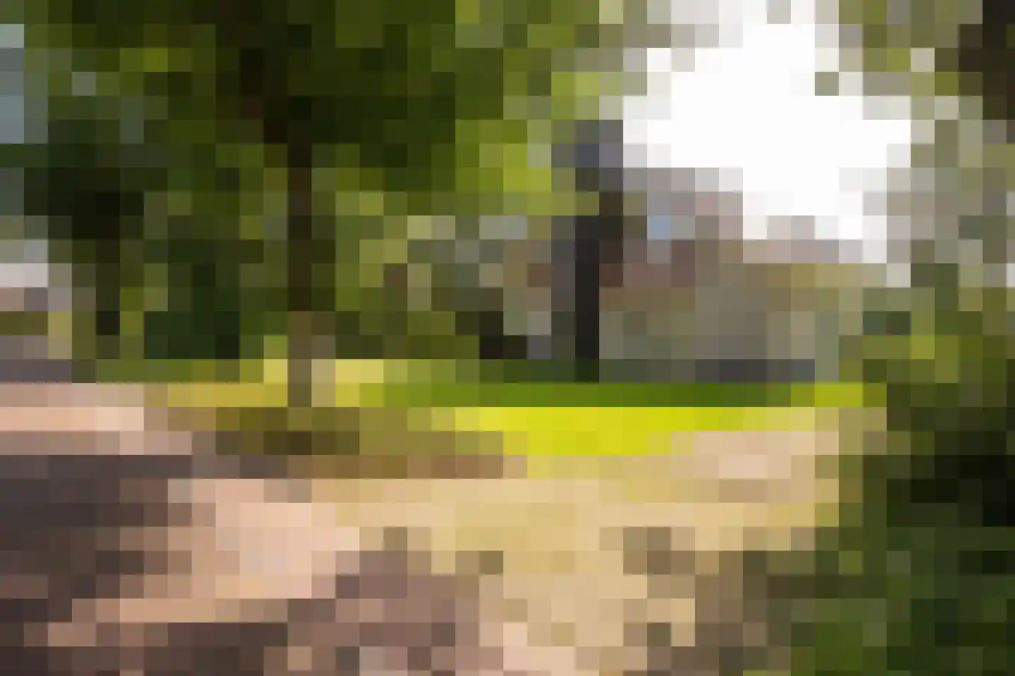 Hellendoornseweg 36 Mariënheem thumbnail 50