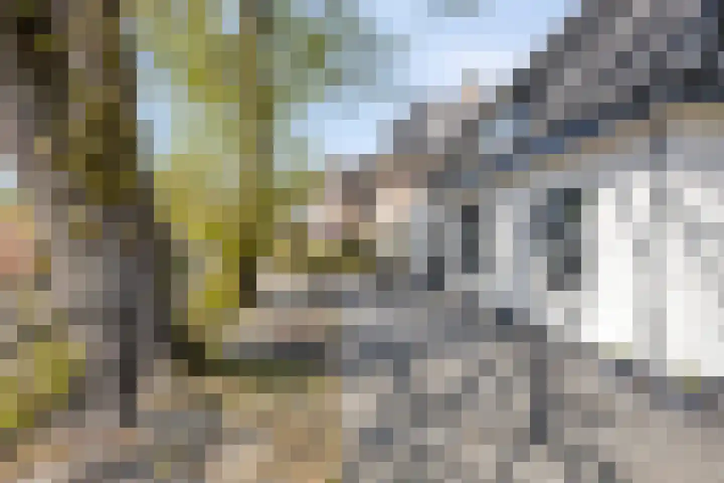 Hellendoornseweg 7 Mariënheem thumbnail 51