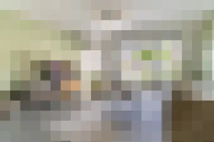 Helleneind 1 A Bladel thumbnail 10