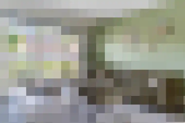 Helleneind 1 A Bladel thumbnail 11