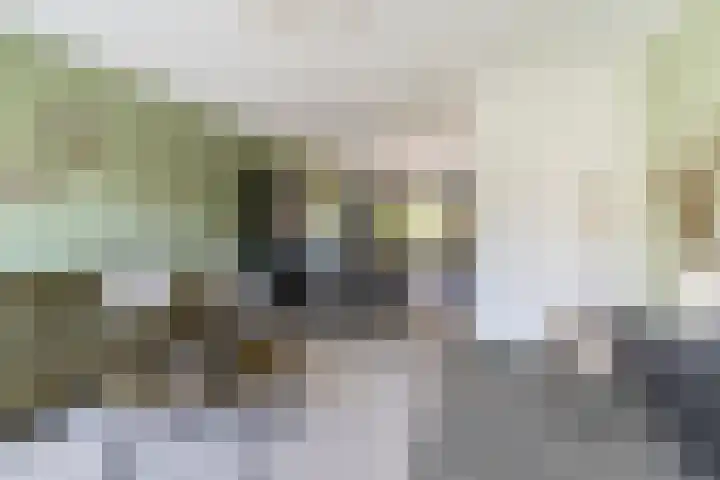 Helleneind 1 A Bladel thumbnail 12