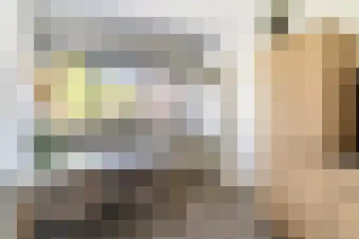 Helleneind 1 A Bladel thumbnail 16