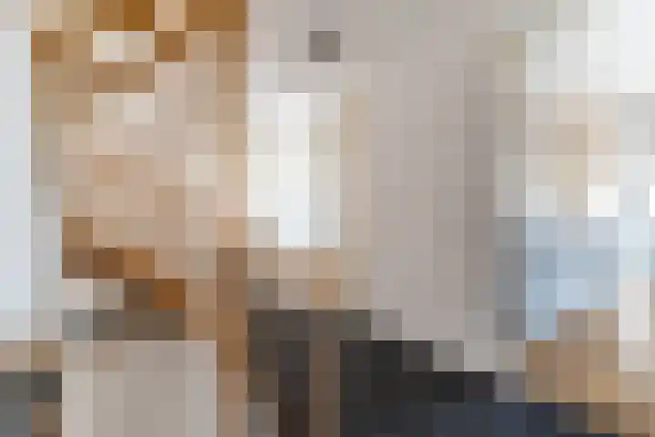 Helleneind 1 A Bladel thumbnail 21
