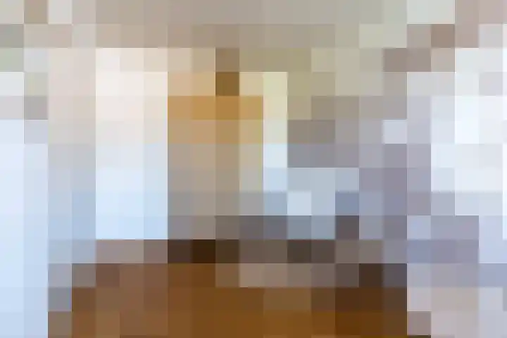 Helleneind 1 A Bladel thumbnail 27