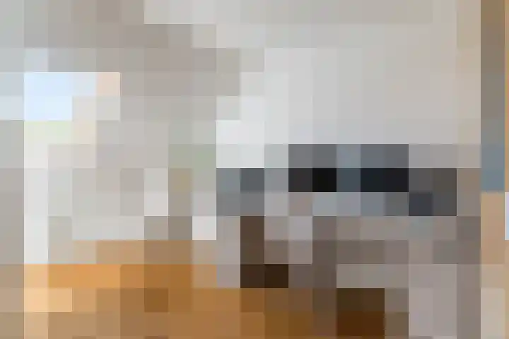 Helleneind 1 A Bladel thumbnail 29