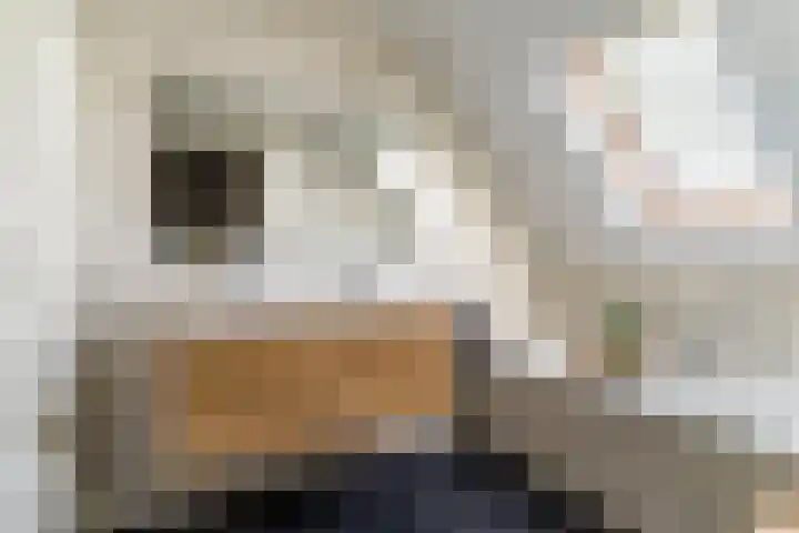 Helleneind 1 A Bladel thumbnail 30