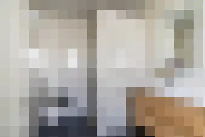 Helleneind 1 A Bladel thumbnail 31