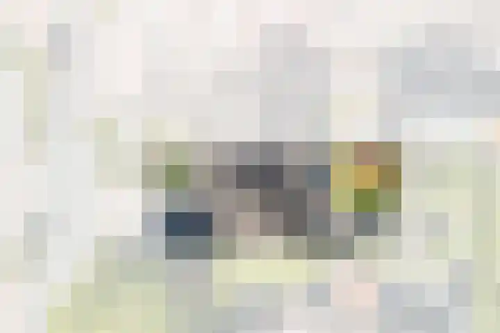 Helleneind 1 A Bladel thumbnail 35