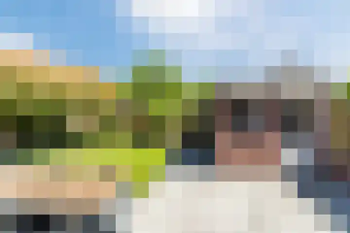 Helleneind 1 A Bladel thumbnail 4
