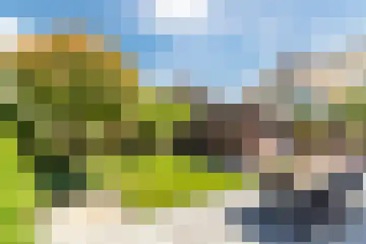 Helleneind 1 A Bladel thumbnail 40