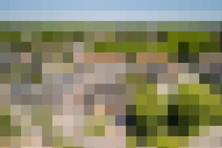 Helleneind 1 A Bladel thumbnail 41