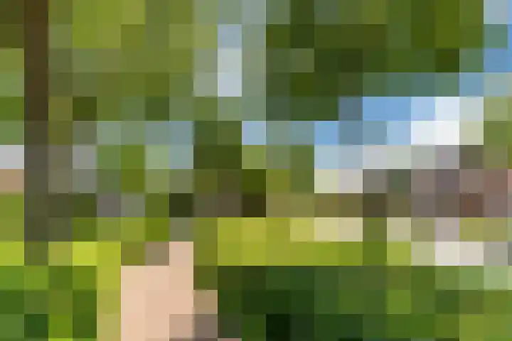 Helleneind 1 A Bladel thumbnail 42