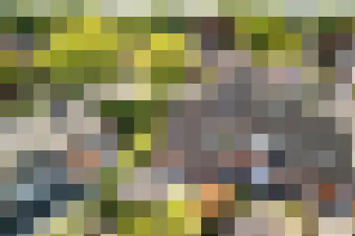 Helleneind 1 A Bladel thumbnail 43