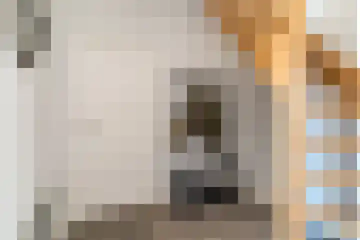 Helleneind 1 A Bladel thumbnail 8
